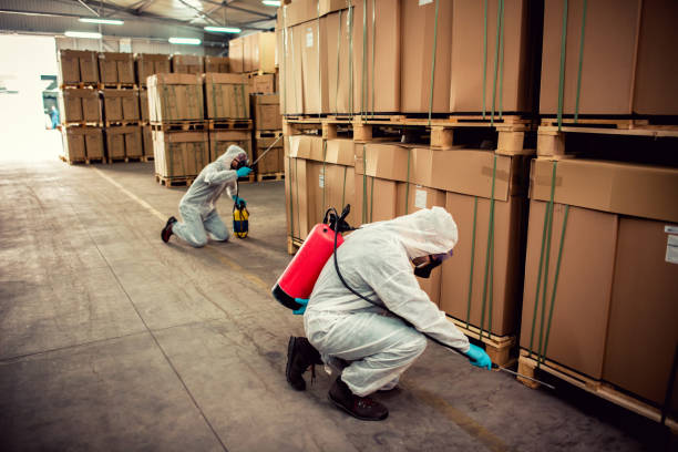 Best Pest Inspection Near Me  in Chandler, IN