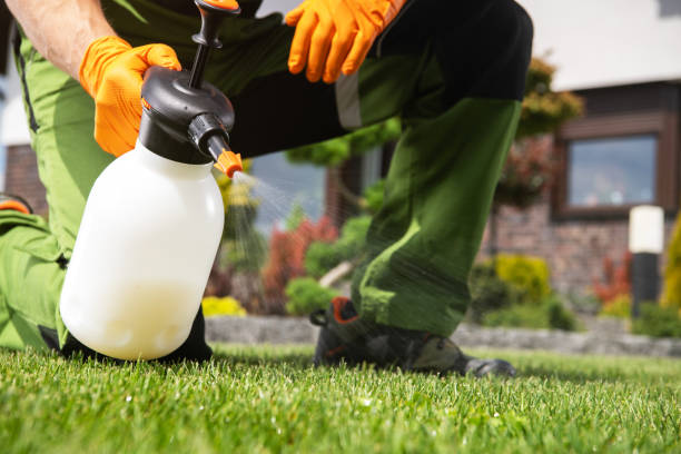 Best Wasp Removal Services  in Chandler, IN