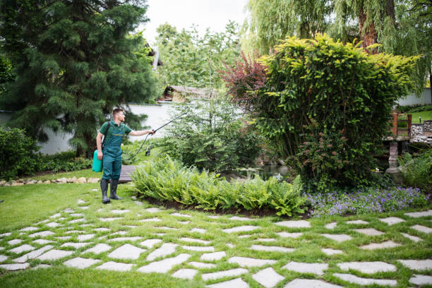 Best Local Pest Control Services  in Chandler, IN