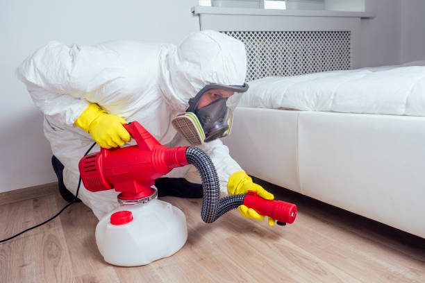 Trusted Chandler, IN Pest Control Experts