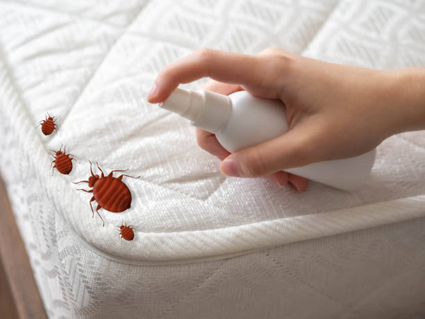 Wasp Removal Services in Chandler, IN