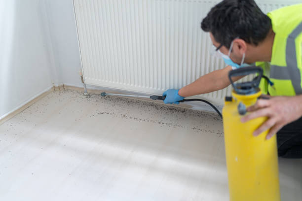 Best Affordable Pest Control Services  in Chandler, IN