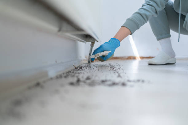 Pest Control for Restaurants in Chandler, IN